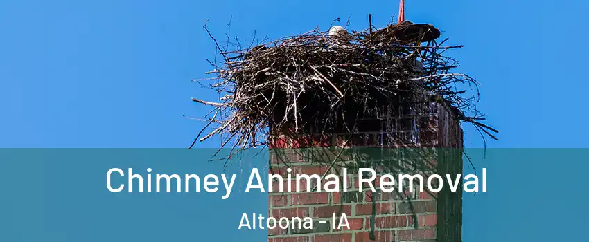 Chimney Animal Removal Altoona - IA