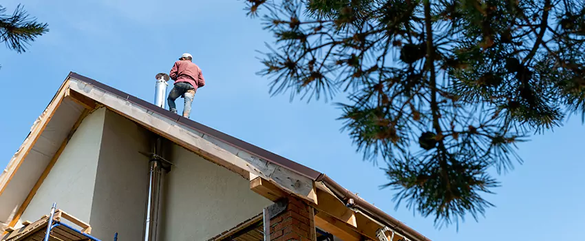 Birds Removal Contractors from Chimney in Altoona, IA