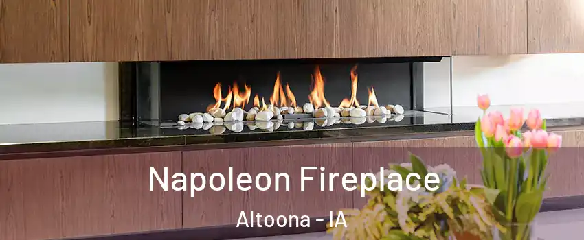  Napoleon Fireplace Altoona - IA